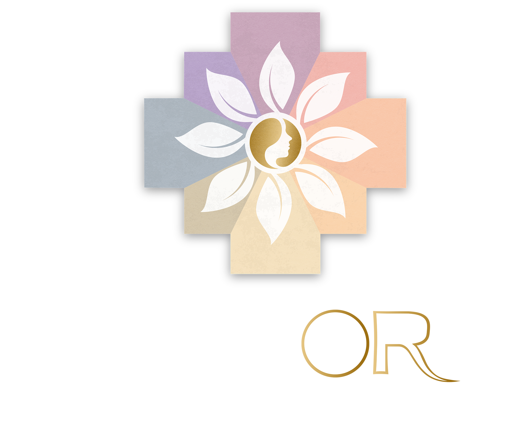 INSCRIPTION COMPTE PRO Tr sors D une Herboriste